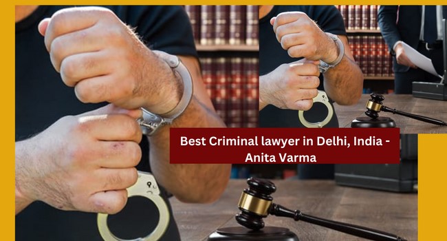            How To Choose Best Anticipatory Bail Lawyer In Delhi